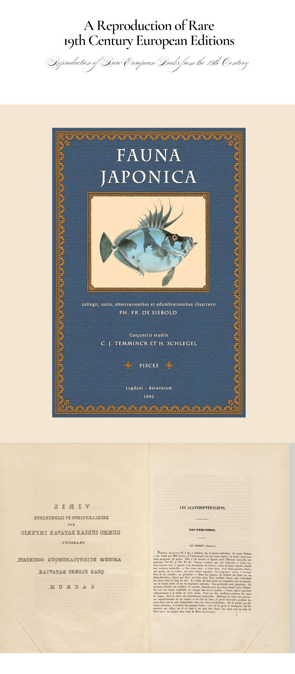  Fauna Japonica
