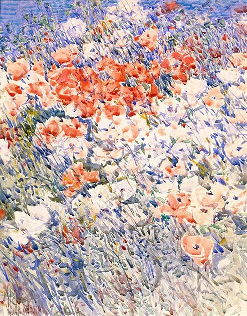 The Island Garden (1892)